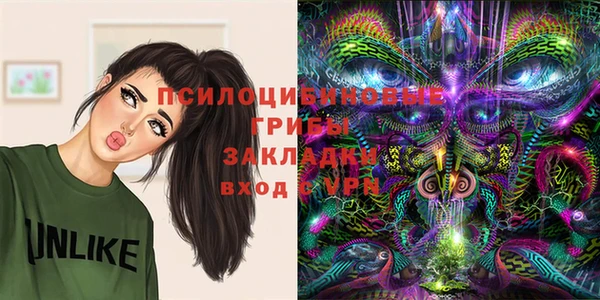 ГАЛЛЮЦИНОГЕННЫЕ ГРИБЫ Беломорск
