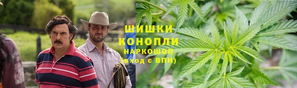 ГАЛЛЮЦИНОГЕННЫЕ ГРИБЫ Беломорск
