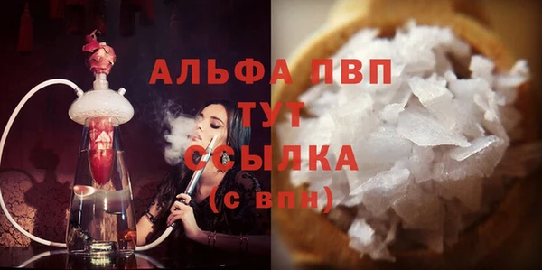 ешки Белокуриха
