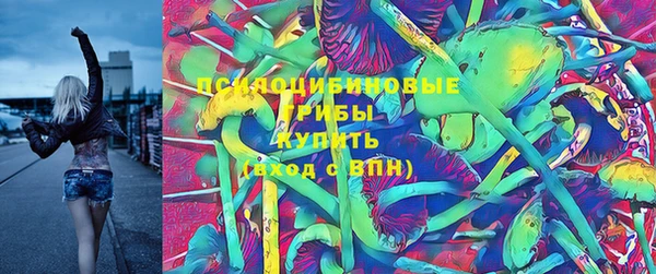 ГАЛЛЮЦИНОГЕННЫЕ ГРИБЫ Беломорск